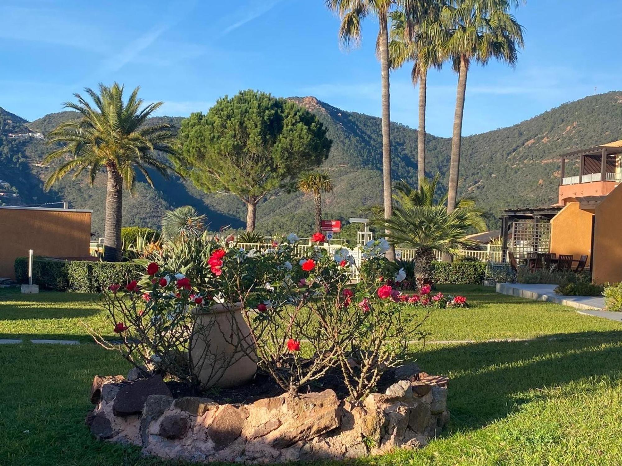 Vue Mer Et Jardin Théoule-sur-Mer Dış mekan fotoğraf
